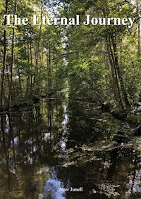 The Eternal Journey - Peter Junell - ebook