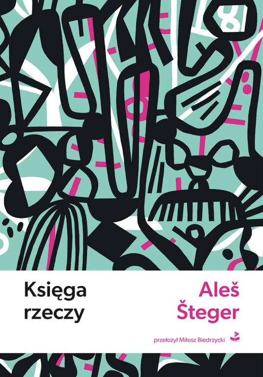 Księga rzeczy - ales steger - ebook + książka