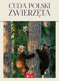 Cuda Polski Zwierzęta - Łukasz Przybyłowicz - książka