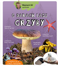 O darach lasu. Grzyby - Wojciech Gil - książka