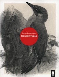Drożdżownia - Kornhauser Jakub - książka