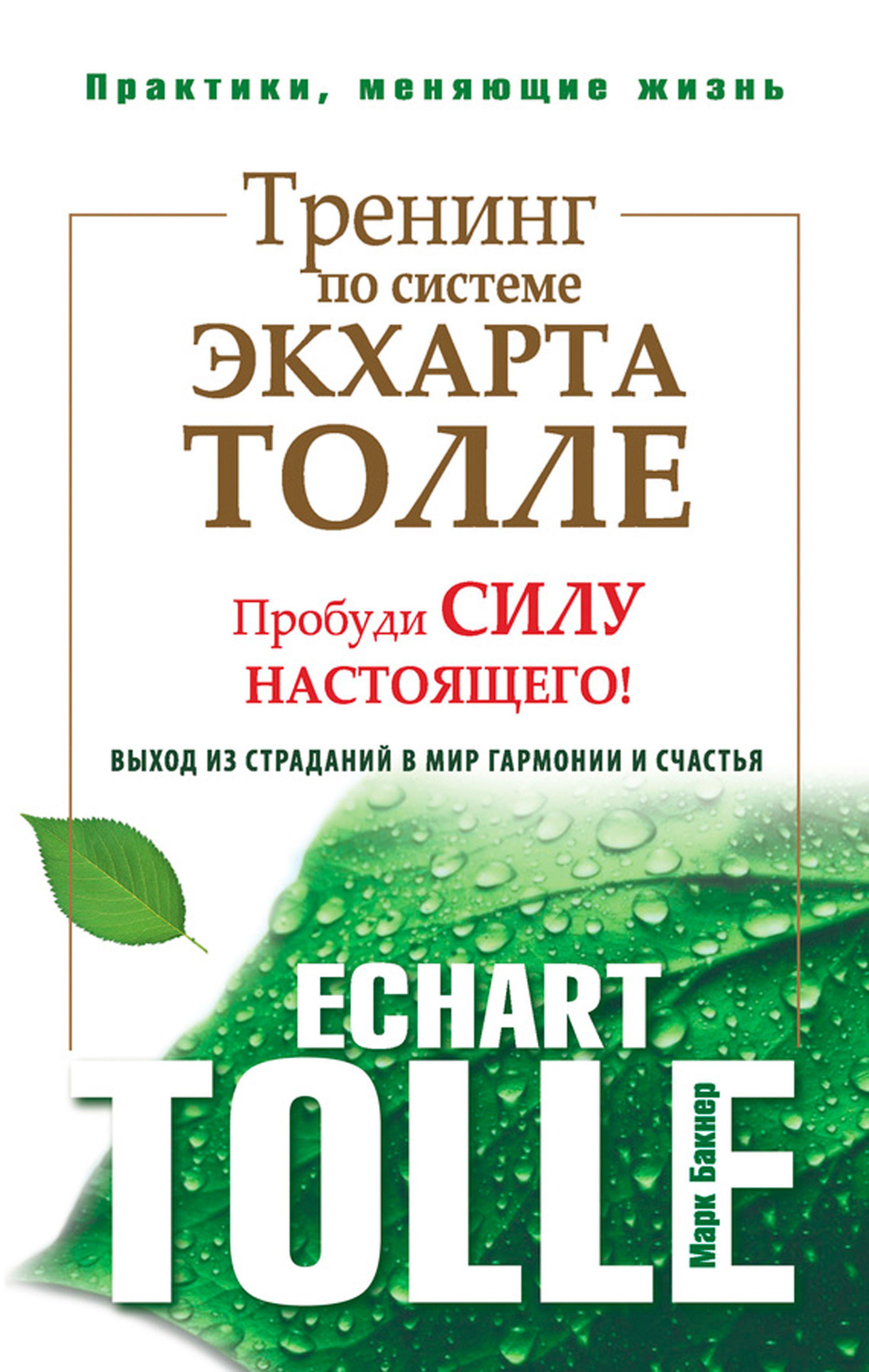 Тренинг по системе Экхарта Толле. Пробуди силу настоящего! Выход из страданий в мир гармонии и счастья