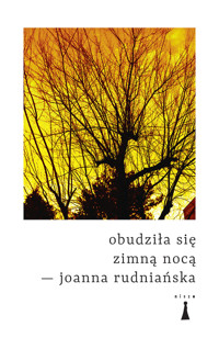 Obudziła się zimną nocą - Joanna Rudniańska - darmowy ebook