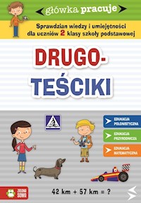 Główka pracuje Drugoteściki - Orowiecka Iwona - książka