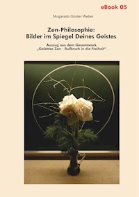 Zen-Philosophie: Bilder im Spiegel deines Geistes - Mugaraito Günter Weber - ebook