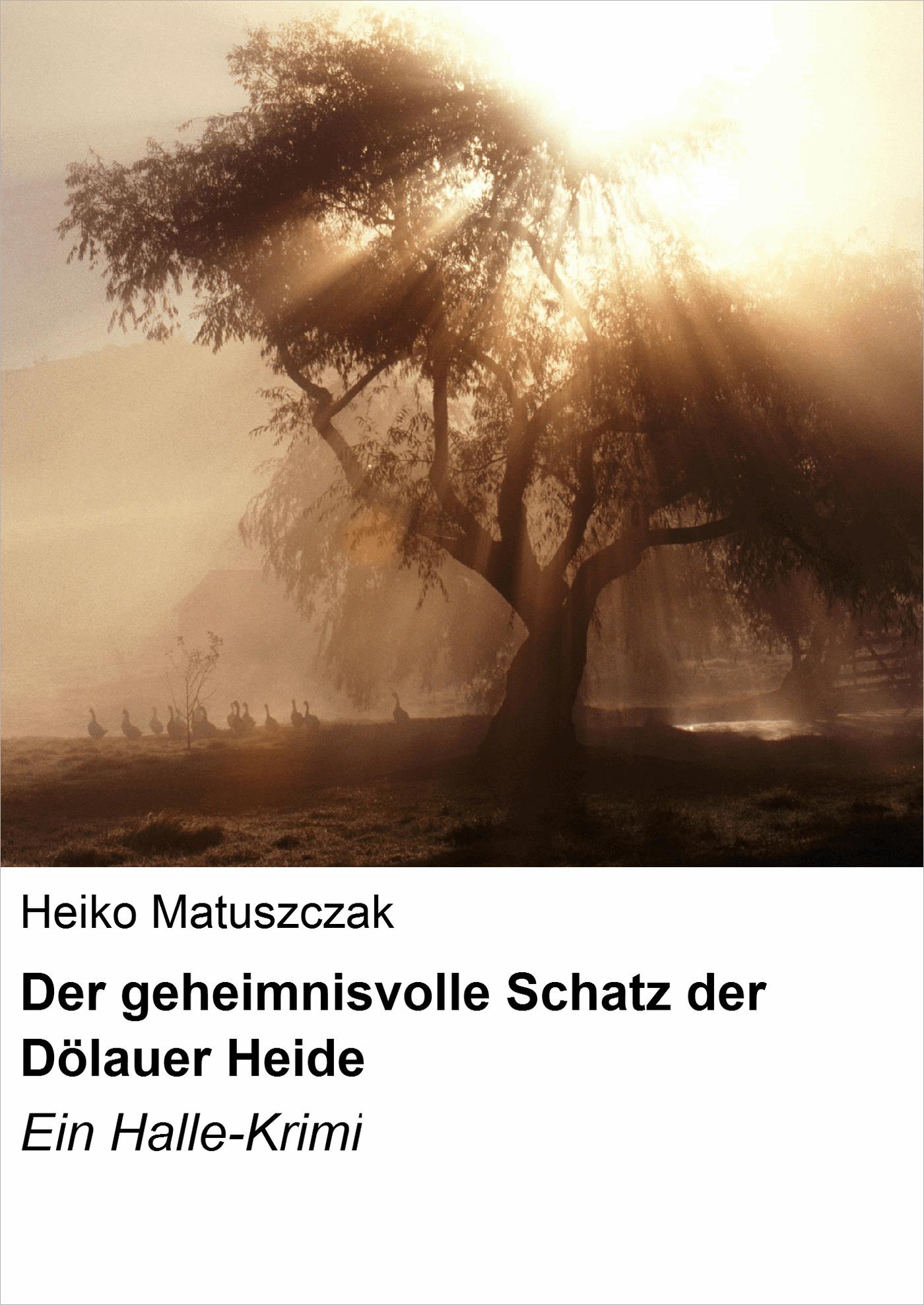 Der geheimnisvolle Schatz der Dölauer Heide