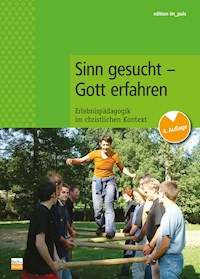 Sinn gesucht - Gott erfahren -  - ebook