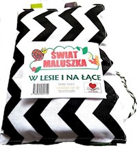 Świat maluszka W lesie i na łące -  - książka