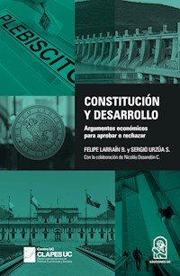 Constitución y desarrollo - Felipe Larraín B. - ebook