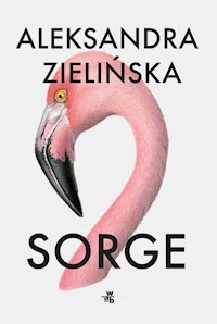 Sorge - Aleksandra Zielińska - książka