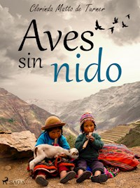 Aves sin nido - Clorinda Matto de Turner - ebook