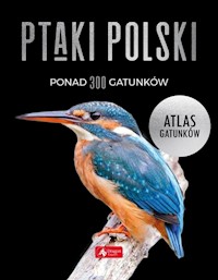 Ptaki Polski Atlas gatunków - Przybyłowicz Anna, Przybyłowicz Łukasz, Włodarczyk Radosław - książka