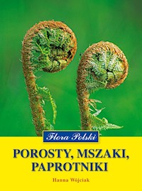Porosty mszaki paprotniki - Wójciak Hanna - książka