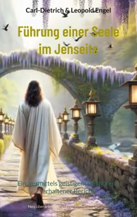 Führung einer Seele im Jenseits - Carl Dietrich Engel - ebook