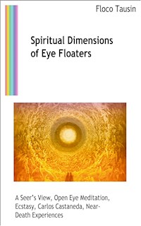 Spiritual Dimensions of Eye Floaters - Floco Tausin - ebook