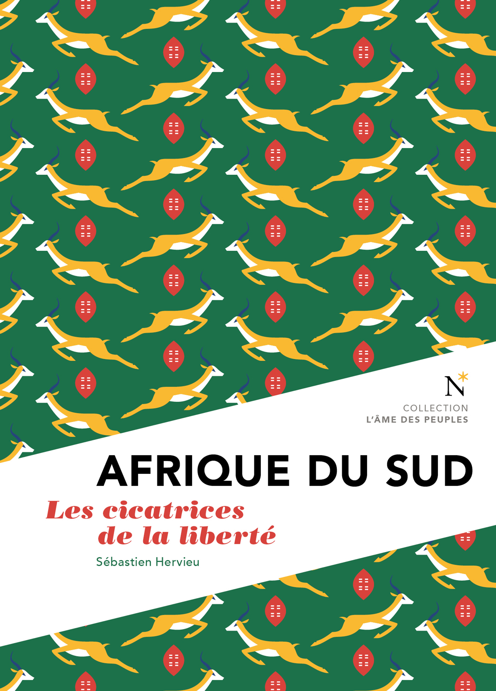 Afrique du Sud - Sébastien Hervieu - ebook