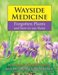 Wayside Medicine - Julie Bruton-Seal - ebook