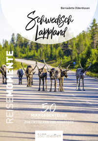 Schwedisch Lappland – ReiseMomente - Bernadette Olderdissen - ebook