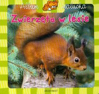 Album malucha Zwierzęta w lesie -  - książka