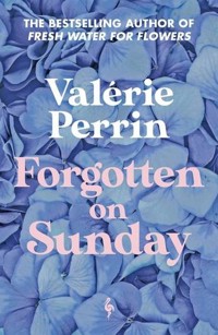 Forgotten on Sunday - Perrin Valerie - książka