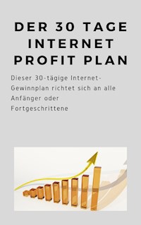 Der 30 Tage Internet Profit Plan - Andre Sternberg - ebook