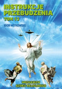 Instrukcje przebudzenia Tom 13 - Igor Witkowski - książka