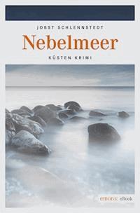 Nebelmeer - Jobst Schlennstedt - ebook