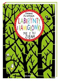 Labirynty i łamigłówki nie z tej ziemi - Flintham Thomas - książka