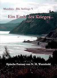 Ein Ende des Krieges - Nicole Heuer-Warmbold - ebook