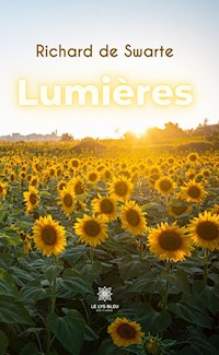 Lumières - Richard de Swarte - ebook