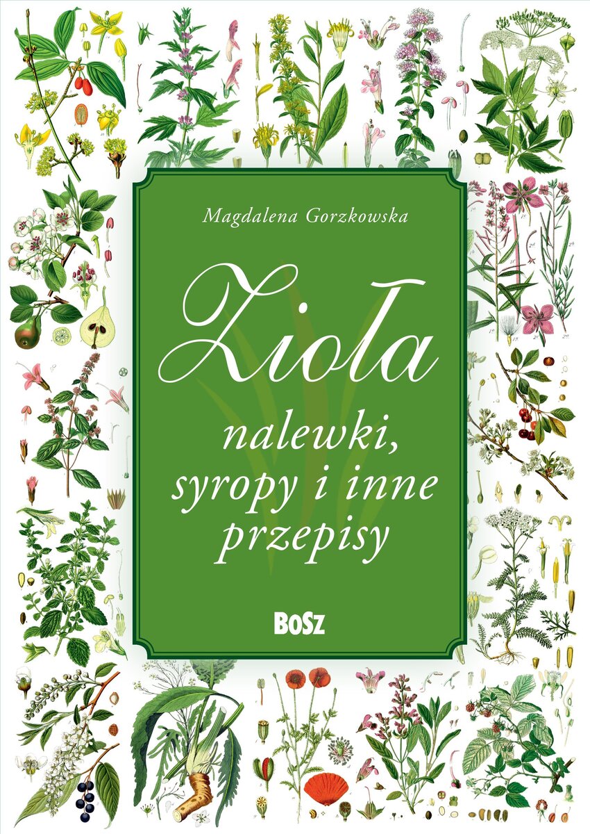 Zioła i nalewki - Magdalena Gorzkowska - książka