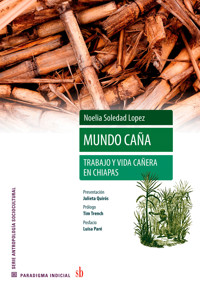 Mundo caña - Noelia Soledad Lopez - ebook