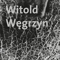 Witold Węgrzyn Nieuchwytna materialność - Węgrzyn Witold - książka