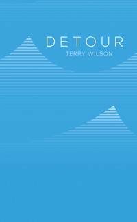 Detour - Terry Wilson - ebook