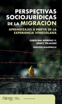 Perspectivas sociojurídicas de la migración - Carolina Moreno V - ebook