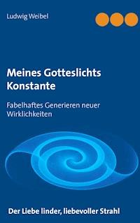 Meines Gotteslichts Konstante - Ludwig Weibel - ebook