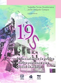 19S.10 lineamientos de política pública postsismo para Ciudad de México - Tzatzilha Torres Guadarrama - ebook