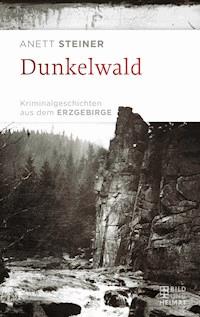 Dunkelwald - Anett Steiner - ebook