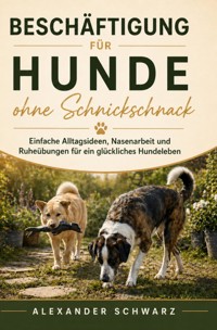 Beschäftigung für Hunde ohne Schnickschnack - Alexander Schwarz - ebook
