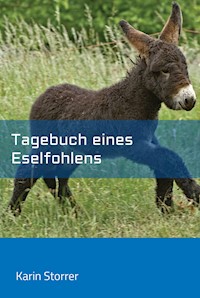 Tagebuch eines Eselfohlens - Karin Storrer - ebook