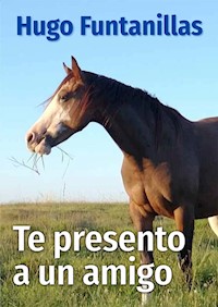Te presento a un amigo - Hugo Funtanillas - ebook