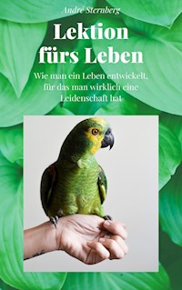 Lektion fürs Leben - Andre Sternberg - ebook