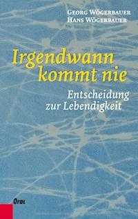 Irgendwann kommt nie - Georg Wögerbauer - ebook