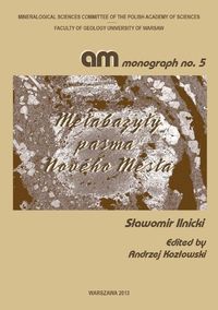 Metabazyty pasma Nového Města - Ilnicki Sławomir - książka