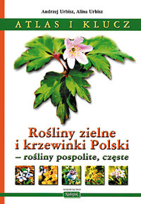 Atlas i klucz. Rośliny zielne i krzewinki Polski - rośliny pospolite, częste - Alina Urbisz, Andrzej Urbisz - ebook