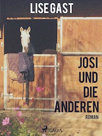 Josi und die anderen - lise  gast  - ebook