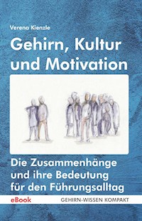 Gehirn, Kultur und Motivation - Verena Kienzle - ebook
