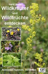 Wildkräuter und Wildfrüchte entdecken - Ingrid Mayer - ebook