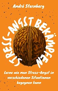 Stress-Angst bekämpfen - Andre Sternberg - ebook