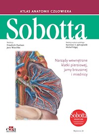 Atlas anatomii człowieka Sobotta. Angielskie mianownictwo. Tom 2. - Paulsen F., Waschke J. - książka